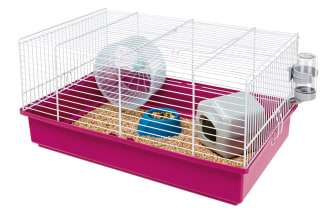 Cage Cambridge pour hamster et souris : avis, test, prix - Conso Animo