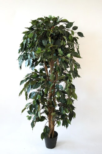 Plante Artificielle 1m50 Ficus