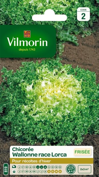 Kit de graines potager facile, Vilmorin - 9 graines de légumes