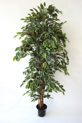 Plante verte & arbre artificiel - Jardiland