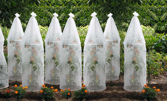 Housse serre Roma 2012072 blanc 1,98x0,78x2m - Jardiland