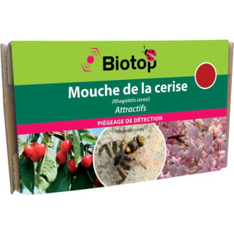 Traitement par insectes auxiliaires au jardin - Jardiland