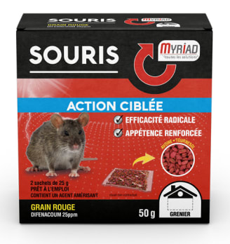 Boîte anti-rats et souris PROTECT EXPERT