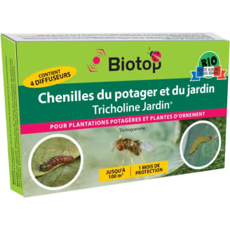 Trichogrammes auxiliaires anti mites alimentaires