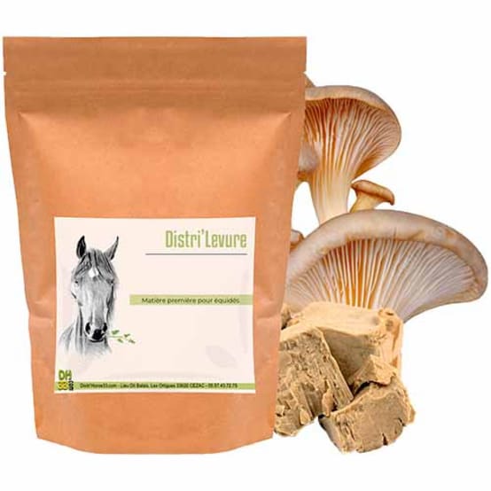 Détox Naturelle Pour Chevaux - Chardon Marie - O'BELTAN