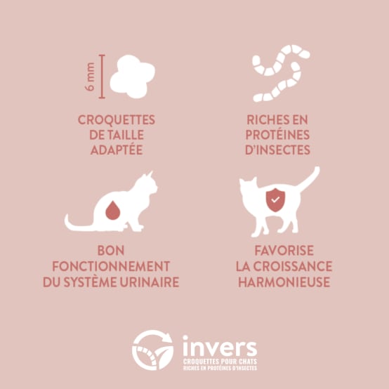 Croquettes aux insectes pour chatons et femelles allaintantes 1,5kg Invers Jardiland