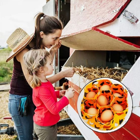 Panier De Collecte D'œufs En Toile Résistante, Mini Panier De Collecte D'œufs Avec 7 Sacs, Sacs De Collecte D'œufs Pour Femme Au Foyer, œufs De Poule, Jardin Familial, Ferme, Panier Pour Cadeaux