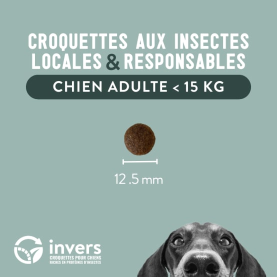 Croquettes aux insectes pour chien de petite taille 4kg Invers Jardiland