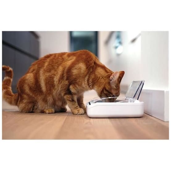 SUREFEED Distributeur de nourriture automatique pour chat antiodeur Blanc (Livré avec un bol