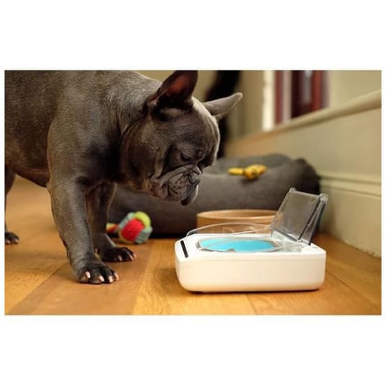 SUREFEED Distributeur de nourriture automatique pour chat antiodeur Blanc (Livré avec un bol