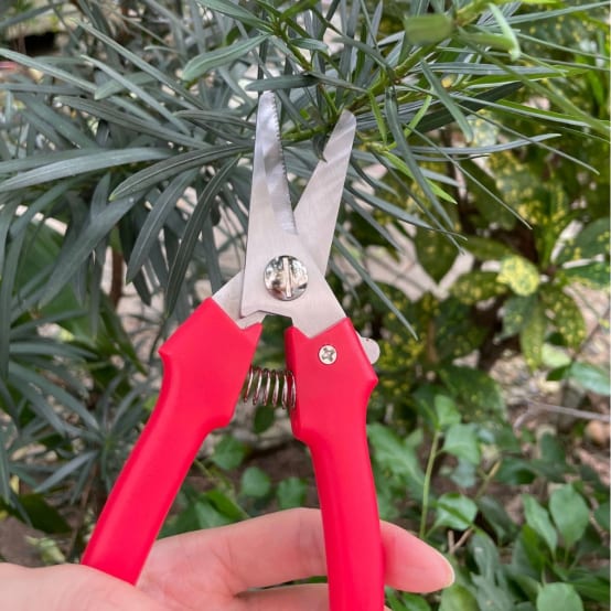 Coupe-fil à Ressort Intégré, Puissant Coupe-fil Latéral Avec