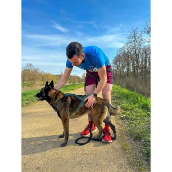 Harnais De Traction Des Pneus – Sangle D'épaule Pour équipement D' Entraînement De Résistance Avec Bandoulière Rembourrée Réglable – Mise à Jour De L'équipement De Remise En Forme