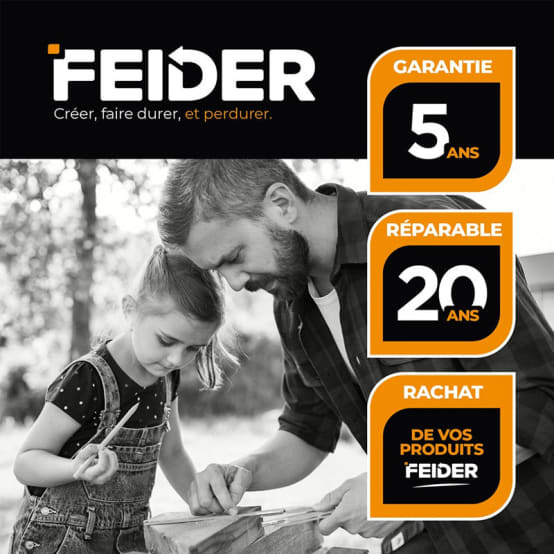 Ponceuse girafe 750 W 225 mm FEIDER FPGAUTO avec sac et