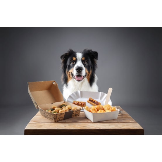 Flamingo - Friandises Fast Food Boîte à emporter 260 g pour chien ...