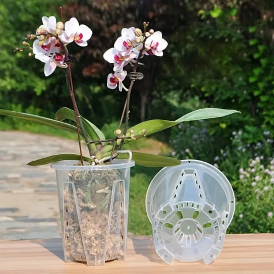 Acheter Tymar Pots De Fleurs Pour Orchidée, Lot 2, En Plastique, La