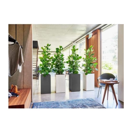 Chapelu Frères Colonne Carrée JAIME 40x40x63cm CHAPELU-Corail