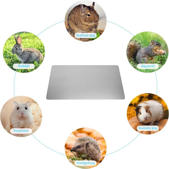 Tapis Auto-refroidissant Pour Animaux De Compagnie, Tapis De Refroidissement Non électrique Pour