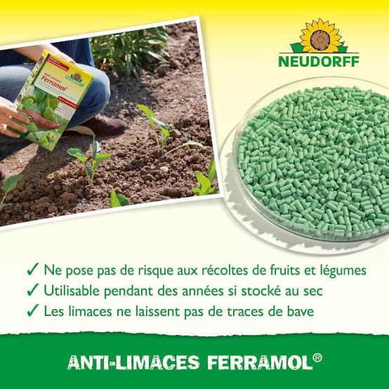 SKDCK-1240101 STARK Kit De Protection Contre La Poussière, Amortisseur