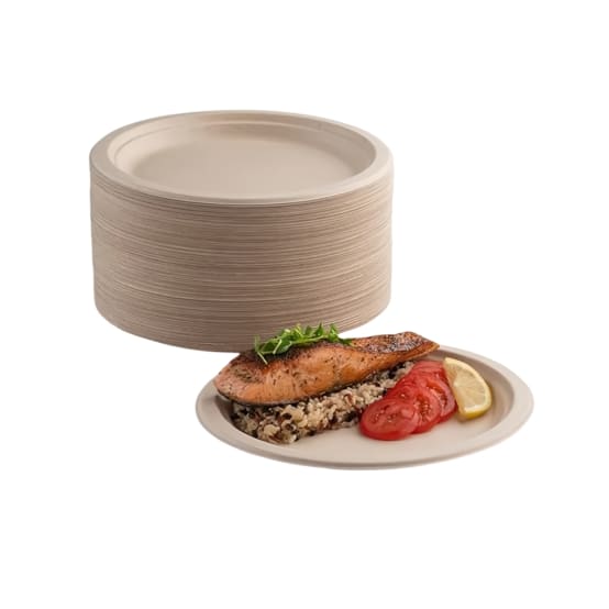 Amscan Lot De 40 Assiettes Rondes En Carton Motif Houx 17,1 Cm