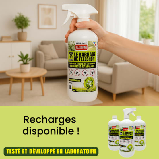 BARRIERE A INSECTES Pulvérisateur Contre Les Spécial Araignées, Prêt à L'emploi