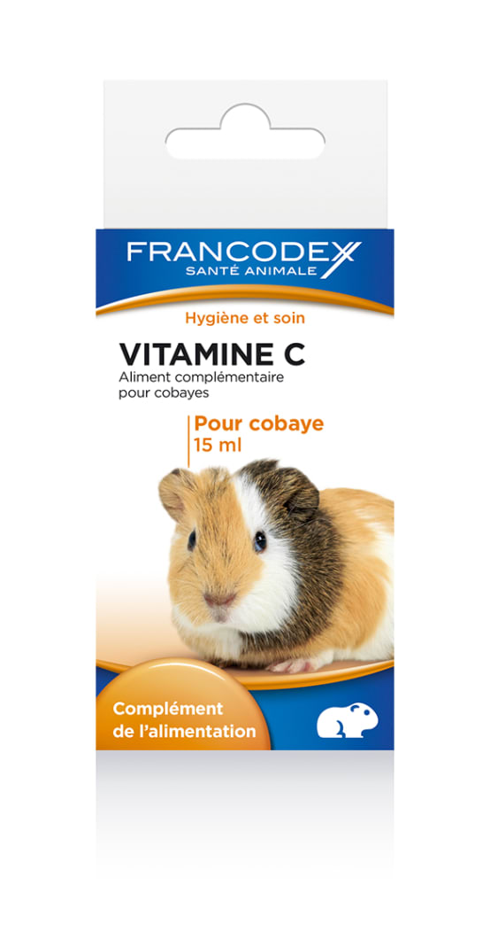 Vitamine C pour cochon d'Inde - Eviter les carences en vitamine C