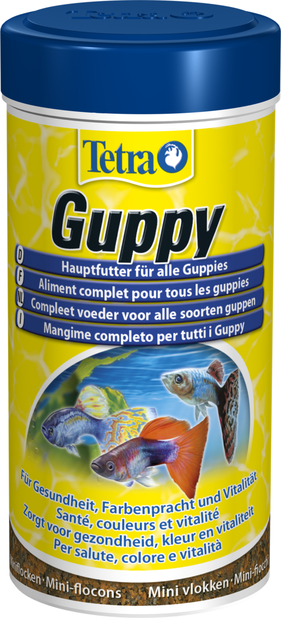 Le guppy - Jardiland