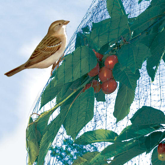 Filet de jardin pour oiseaux avec cordon de serrage pour arbres fruitiers  pour protéger les plantes, les fruits, les fleurs contre les cigales, les  insectes et les oiseaux (2 pièces, 71 x