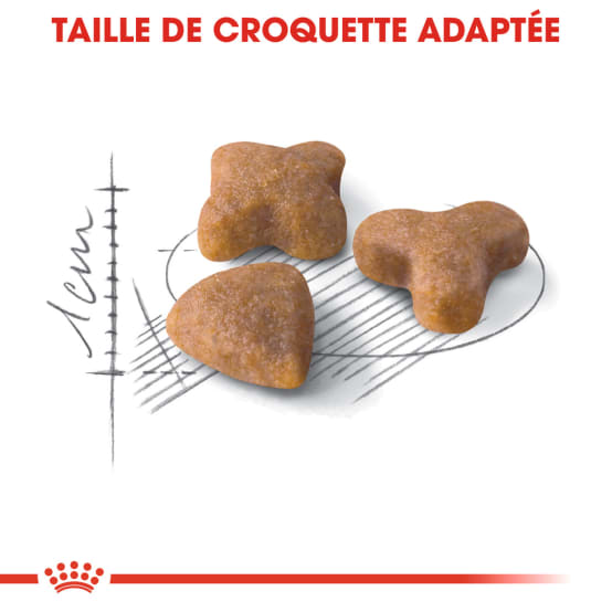 Royal Canin Kitten - 10Kg - Croquettes Chat - Alimentation Royal