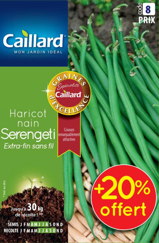 Caillard - Caillard - Haricot nain extra-fin sans fil serengeti