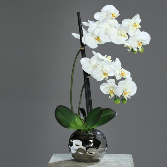 Orchidée-phalaeno 'fresh' artificielle céramique argent, crème - Jardiland