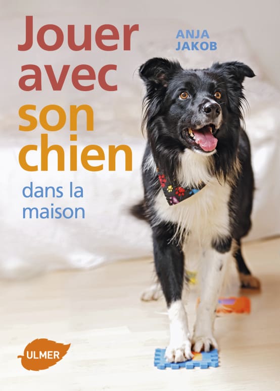Chaussette pour sales chien jardiland