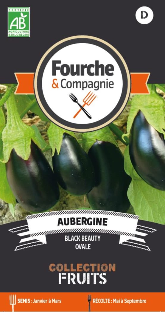 Graines de Aubergine black beauty Jardiland