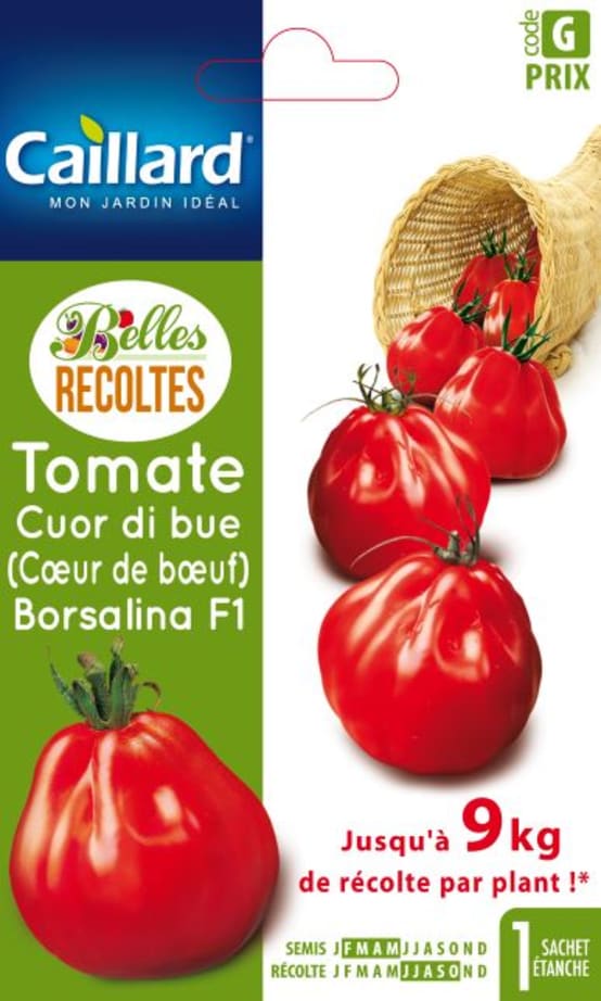 Tomate - Gamm vert