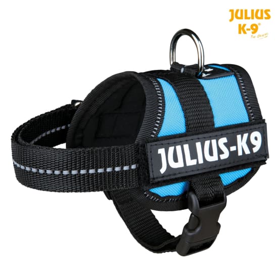 Equiper son chien avec un harnais Julius K9 - Blog