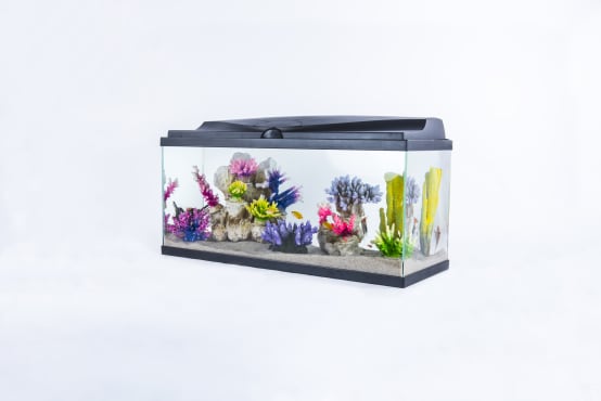 Inwa - Filtre intérieur pour aquarium Pur 1000 - Jardiland