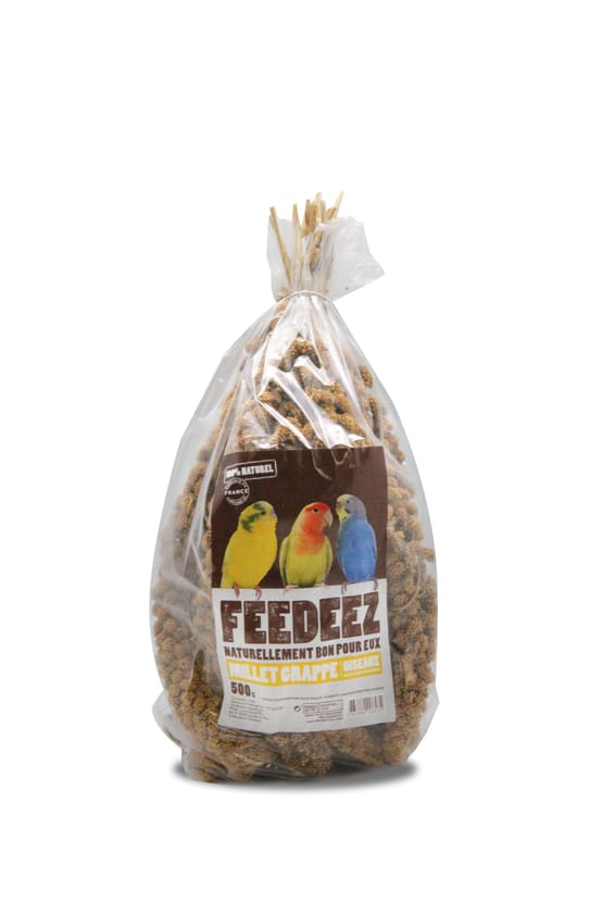 Grappes de millet pour oiseaux