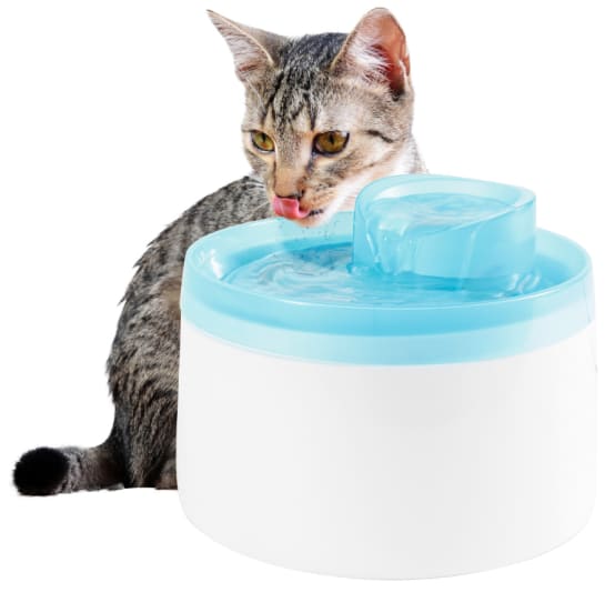 Fontaine à eau pour chat ultra silencieuse, zéro bruit !