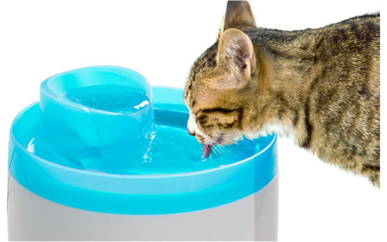 Zolux - Fontaine à eau électrique pour chat et chien - 2 litres