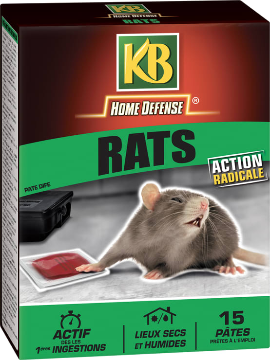 PROTECT HOME Raticide en pâte, contrôle complet, poison pour rats et  bulles, convient à l'intérieur et à l'extérieur : : Jardin
