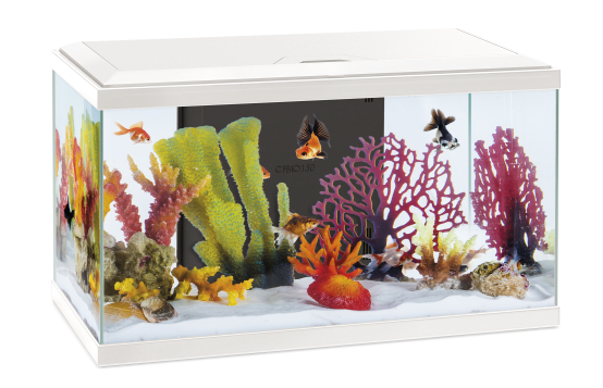 Inwa - Pack Aquarium Confort 60 Pro Blanc - 48L - Jardiland
