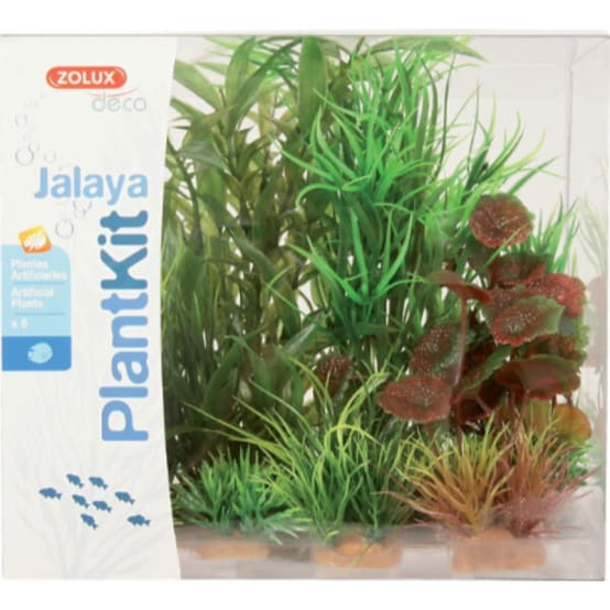 Kit de plantes pour aquarium ZOLUX Jardiland