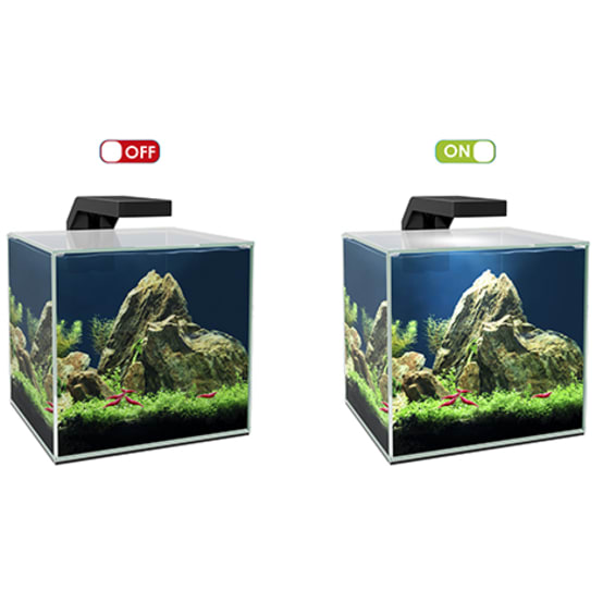 Aquarium cube 10 clear 10L+ LED - L.22 x l.22,8 x H.26,2 cm