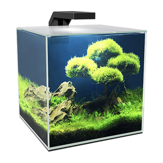 Aquarium cube 10 clear 10L+ LED - L.22 x l.22,8 x H.26,2 cm - Jardiland