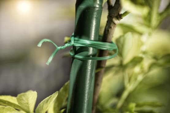 Achetez en gros Twist Ties, Liens De Plantes De Jardin Vert Avec