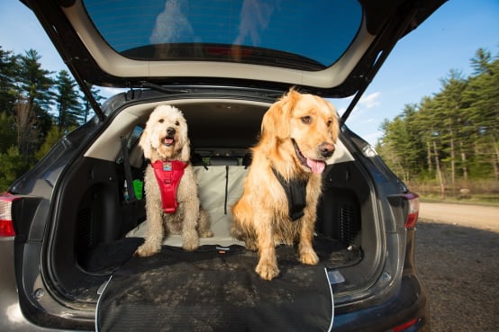 Tapis de coffre de voiture Protection de coffre pour chiens