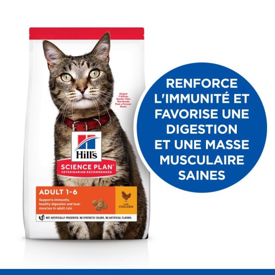 Croquettes pour chat adulte poulet HILL'S SCIENCE PLAN Jardiland