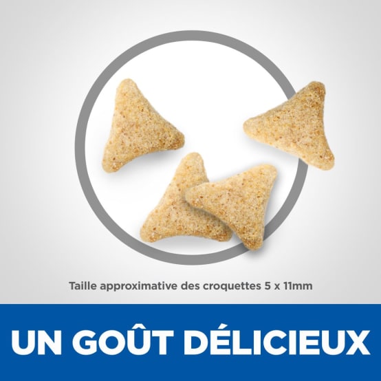 Croquettes Chat Adulte Hairball Indoor HILL'S SCIENCE PLAN Jardiland