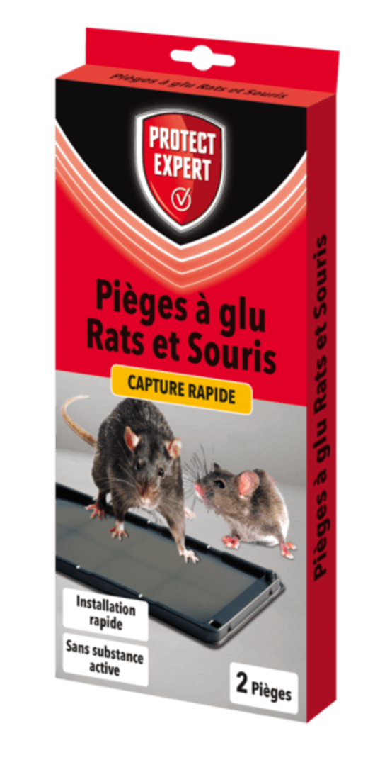 RATS & SOURIS - 2 PIEGES À GLU -PEX - Jardiland