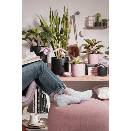 Pot De Fleurs Cube DEROMA - Millennium R - Gris Cendré - Avec Réserve D