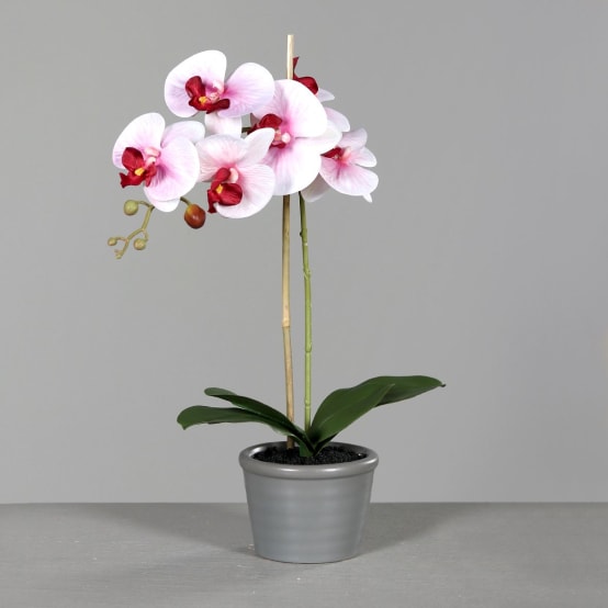 Orchidées artificielles blanc-rose 50cm